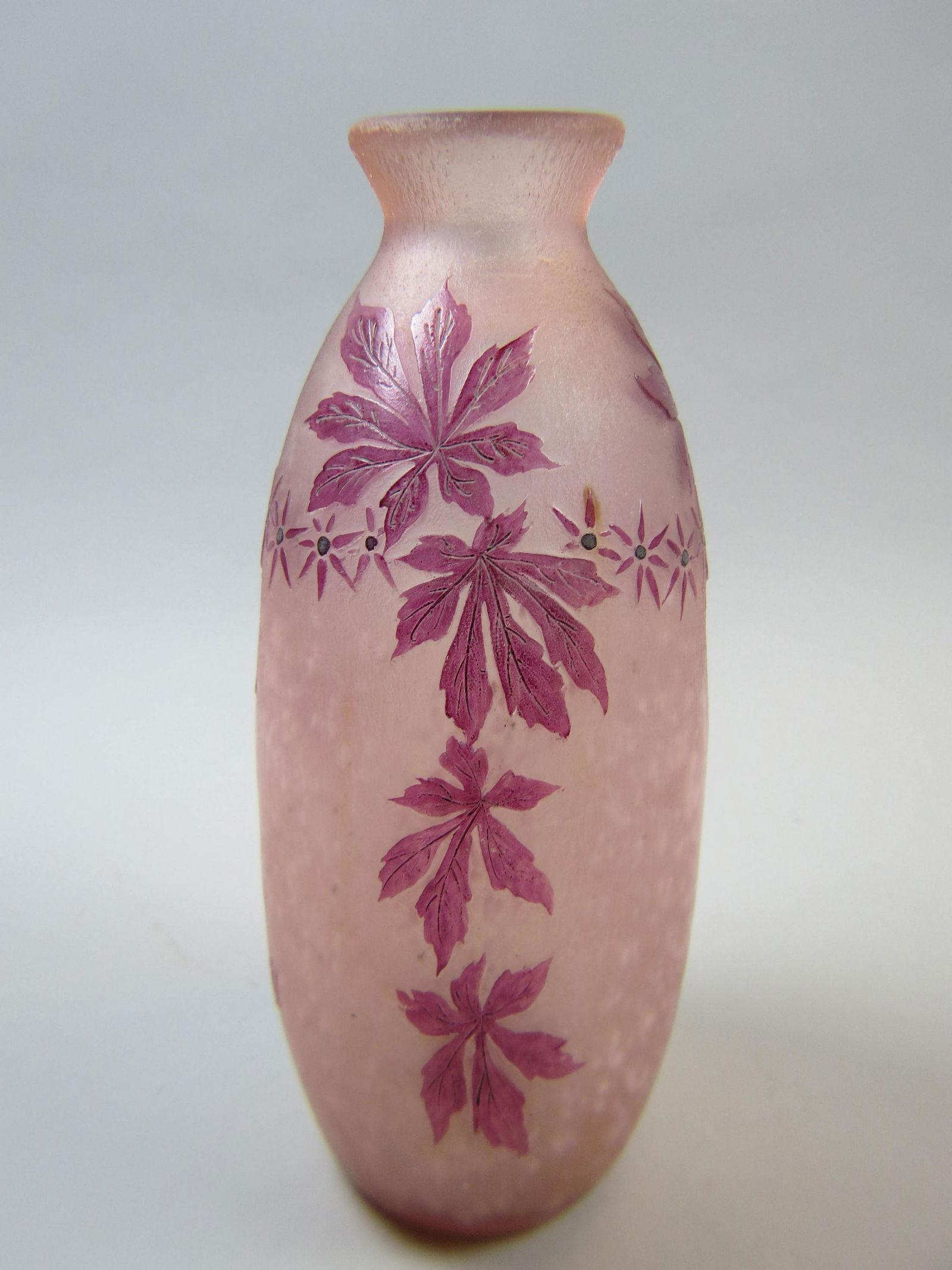 Legras French Cameo Art Glass Vase (1 of 5)