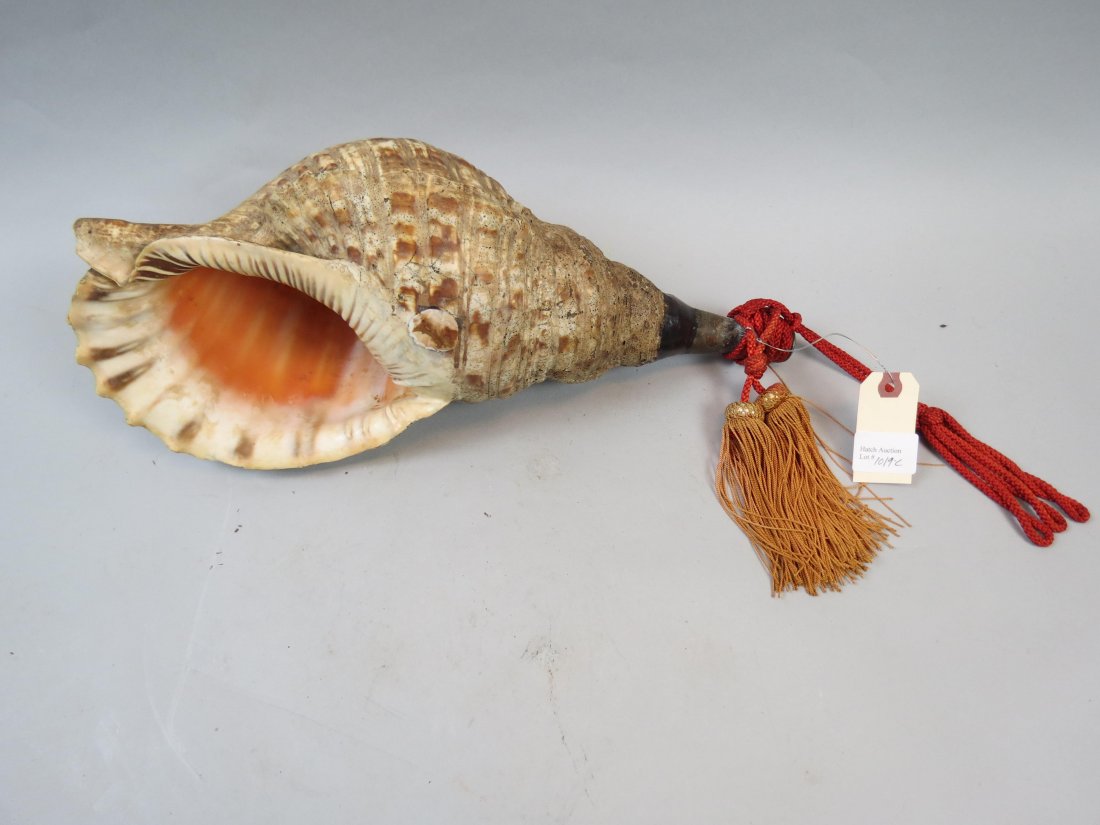 Japanese Edo Period Trumpet, Horagai, 19th Century, (1 of 5)