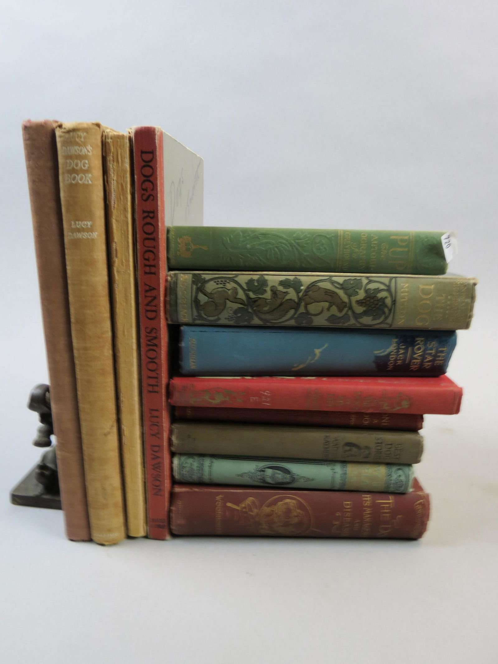 Lot of 12 Antique Books all Dog Related (1 of 5)