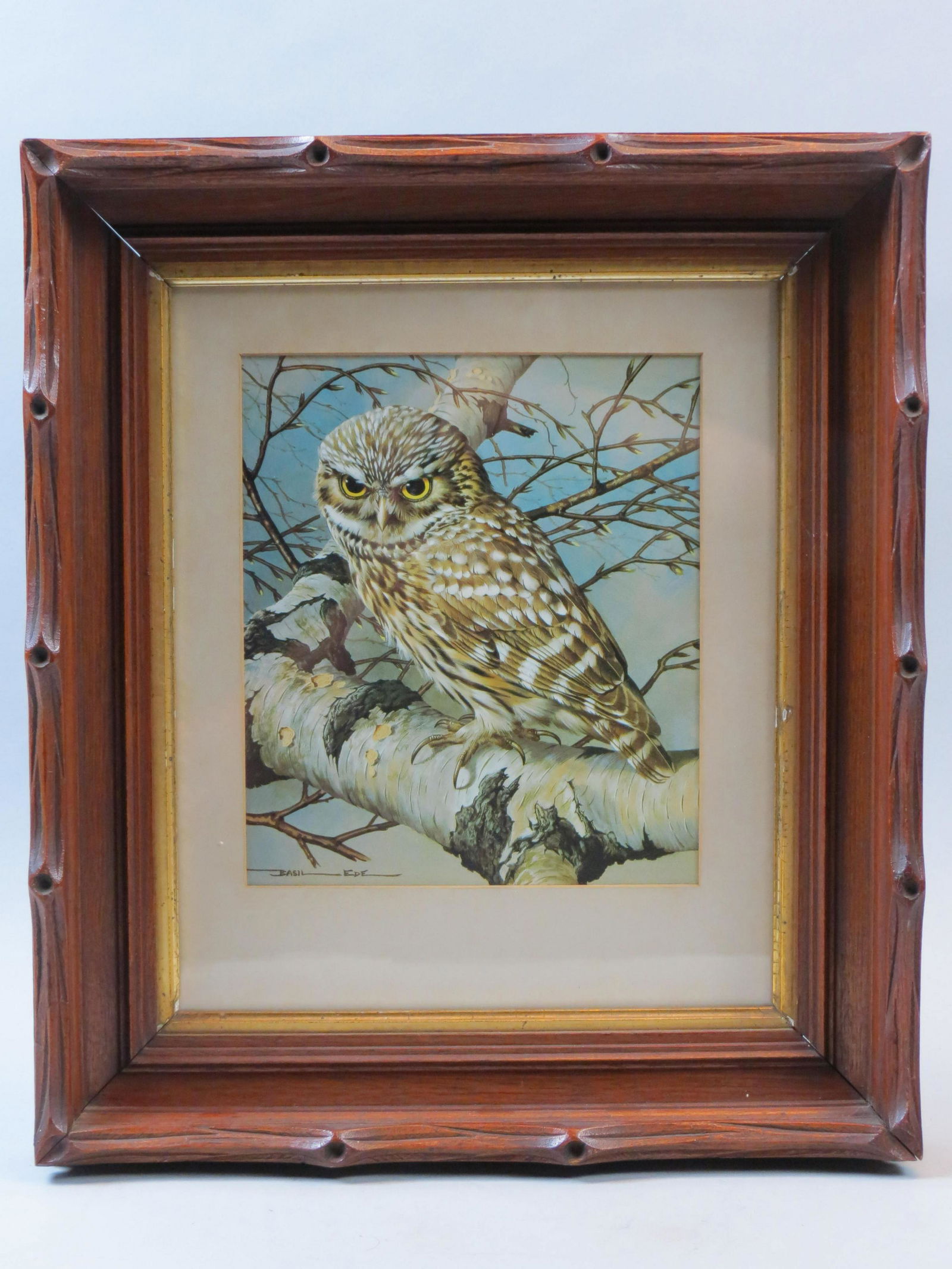 Basil Ede, print, Owl on Branch: Basil Ede, print, Owl on Branch, approx. 10" X 13", in a Victorian carved walnut frame......British wildlife artist Basil Ede was born in Surrey in 1931. He specializes in highly-detailed paintings of