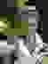 item-7463837=2