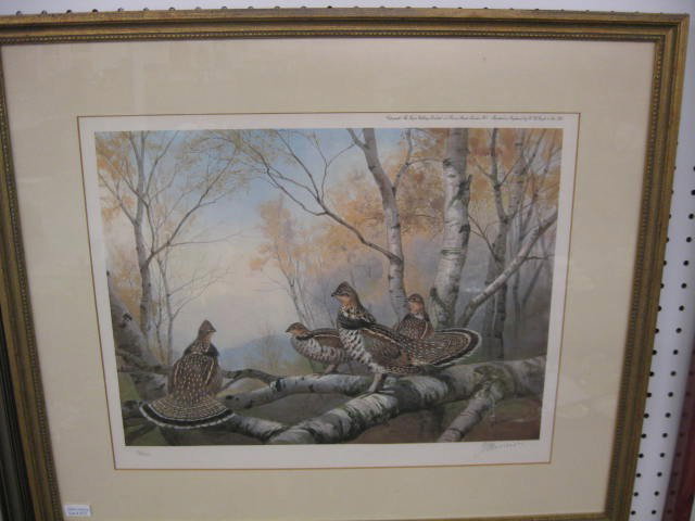 J. C. Harrison Lithograph, quail among the birches: quail among the birches, #12 of 250, pencil signed, image area 16" x 19".