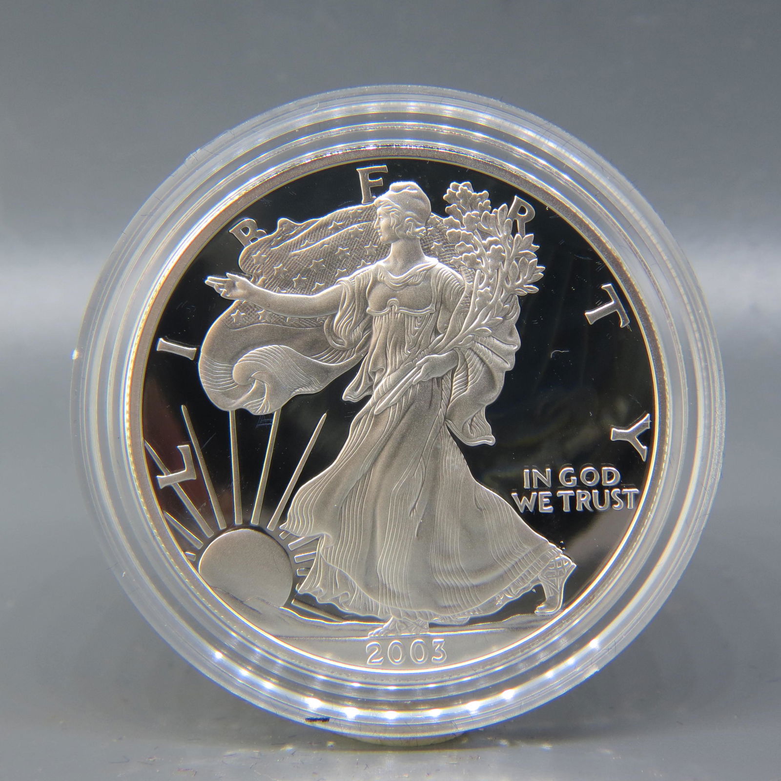 2003 American Silver Eagle Dollar, proof, (1 of 3)