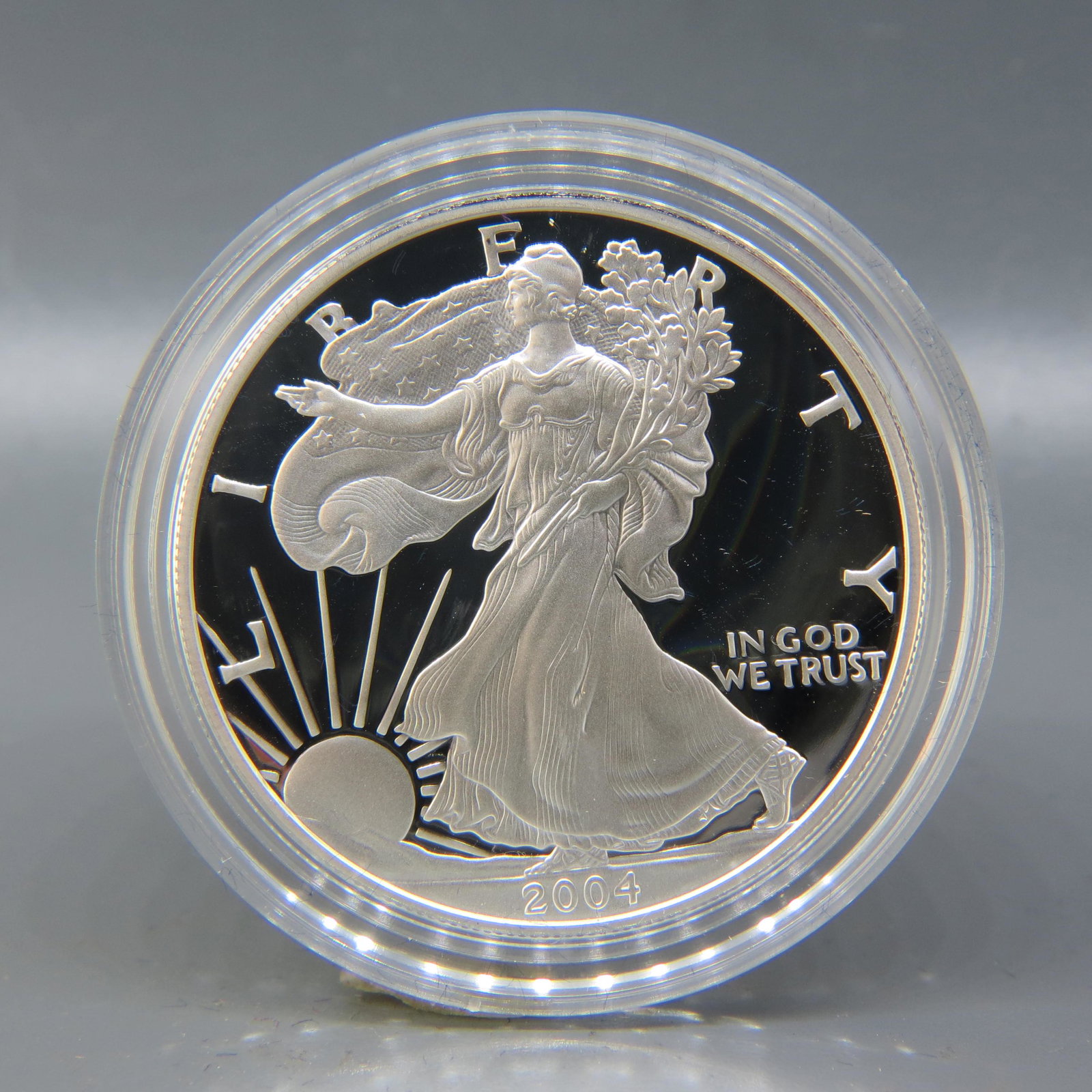 2004 American Silver Eagle Dollar, proof, (1 of 4)