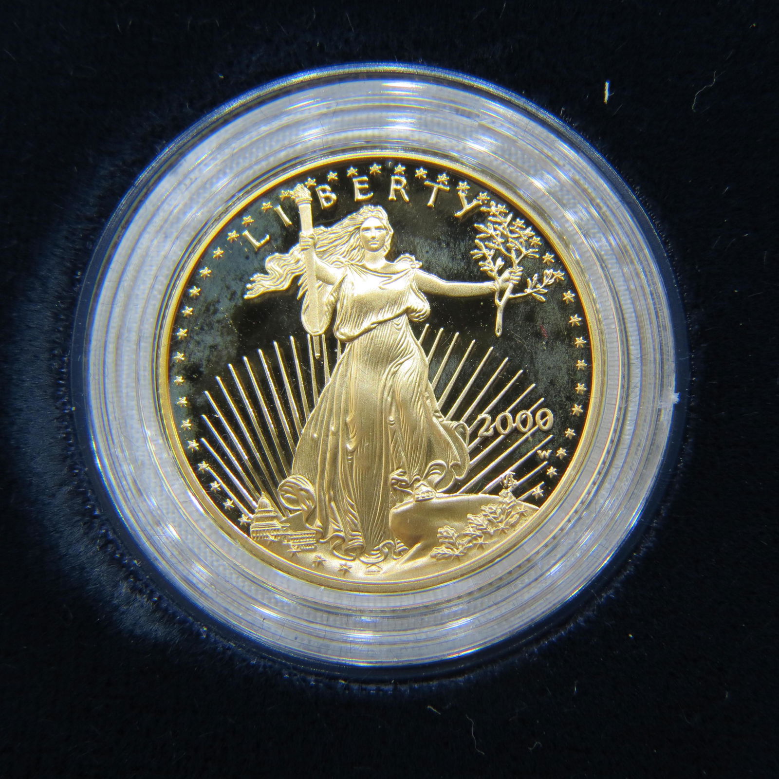 2000-W $25.00 American Gold Eagle Coin, proof, (1 of 3)
