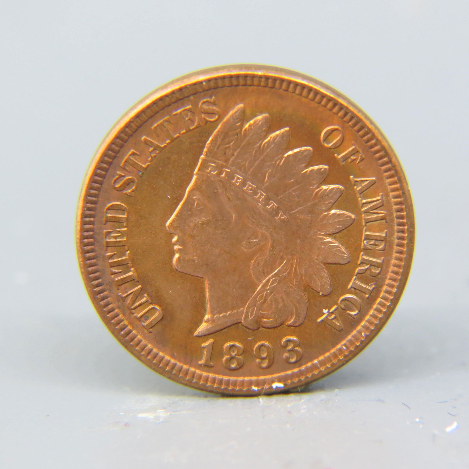 1893 Indian Head Cent, (1 of 2)