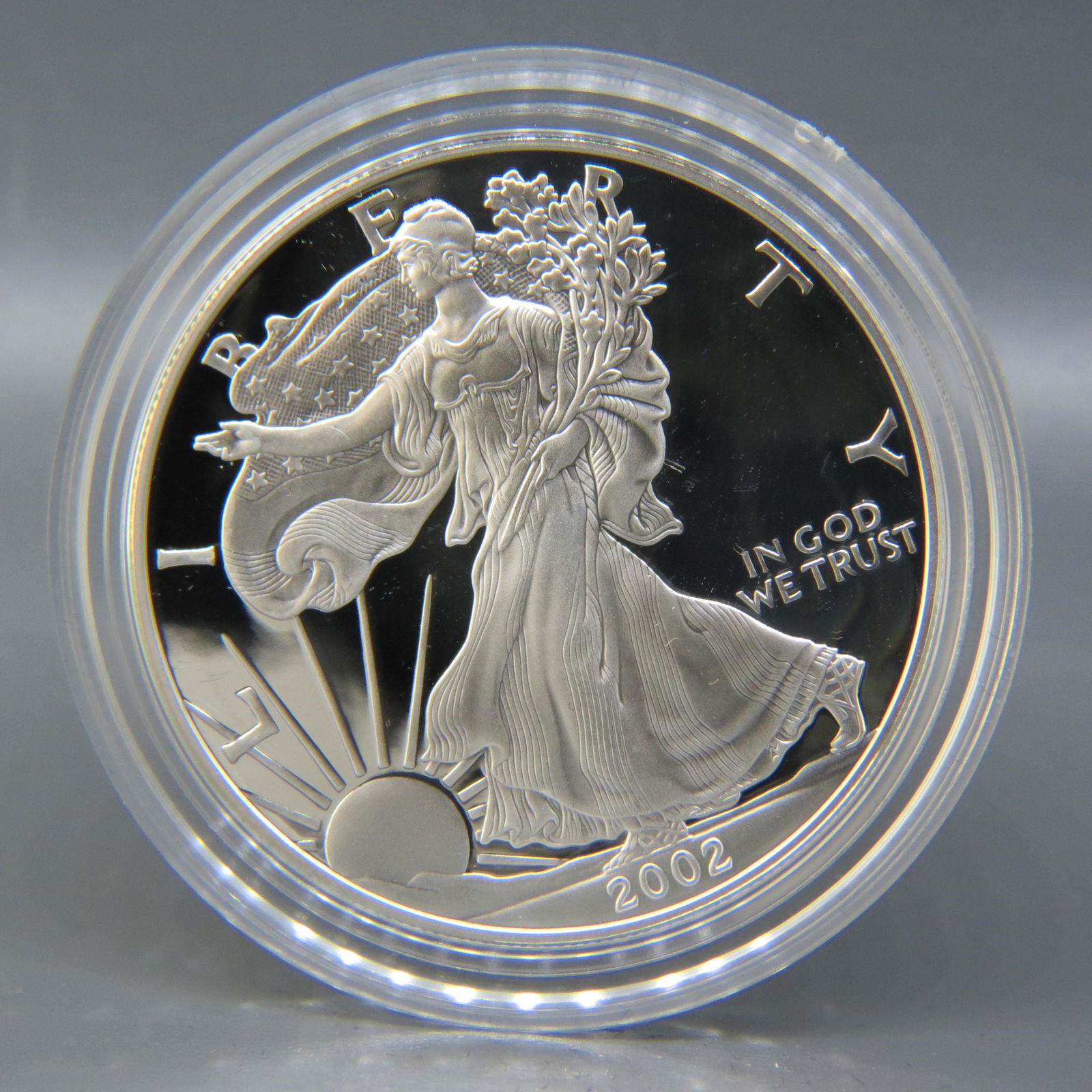 2002-W American Eagle Silver Dollar, proof, (1 of 3)