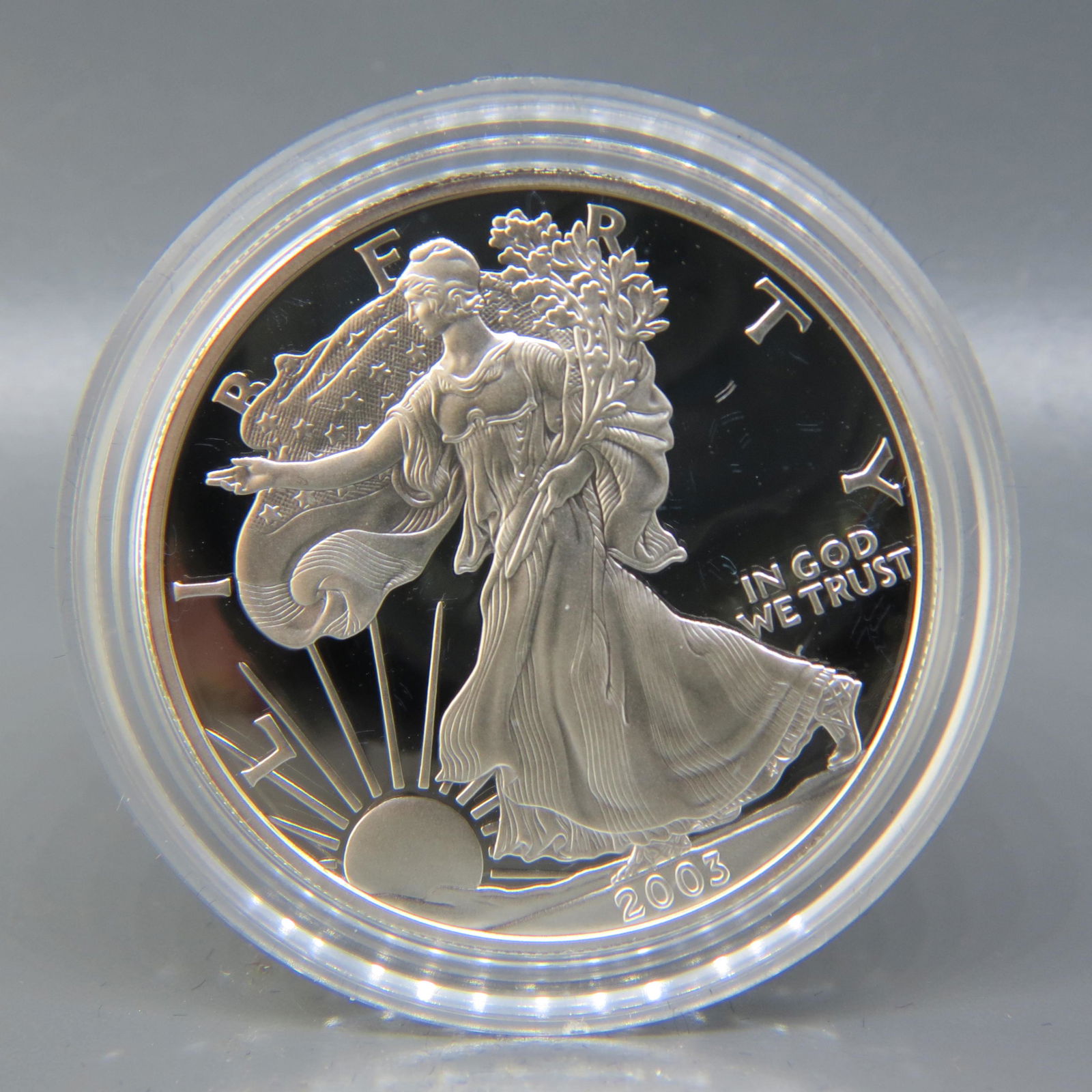 2003-W American Eagle Silver Dollar, proof, (1 of 3)