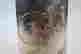 item-131504378=3