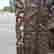 item-131504401=8