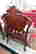 item-131504402=4