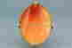 item-131504549=2