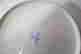 item-131504586=7