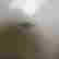 item-131504591=5