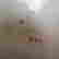 item-131504594=4