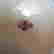 item-131504596=6