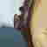 item-131504625=4
