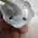 item-131504638=10