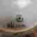 item-131504650=7