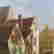 item-131504757=4