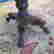 item-131504819=3