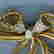 item-131504880=2