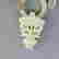 item-131504930=3