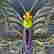 item-131504930=4