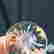 item-131505126=4