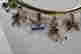 item-131505153=4