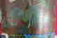 item-131505223=10