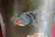 item-131505223=9