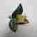 item-131505282=4