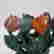 item-131505308=3