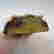 item-131505311=6