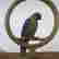 item-131505319=2