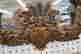 item-131505380=2