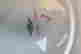 item-131505385=6