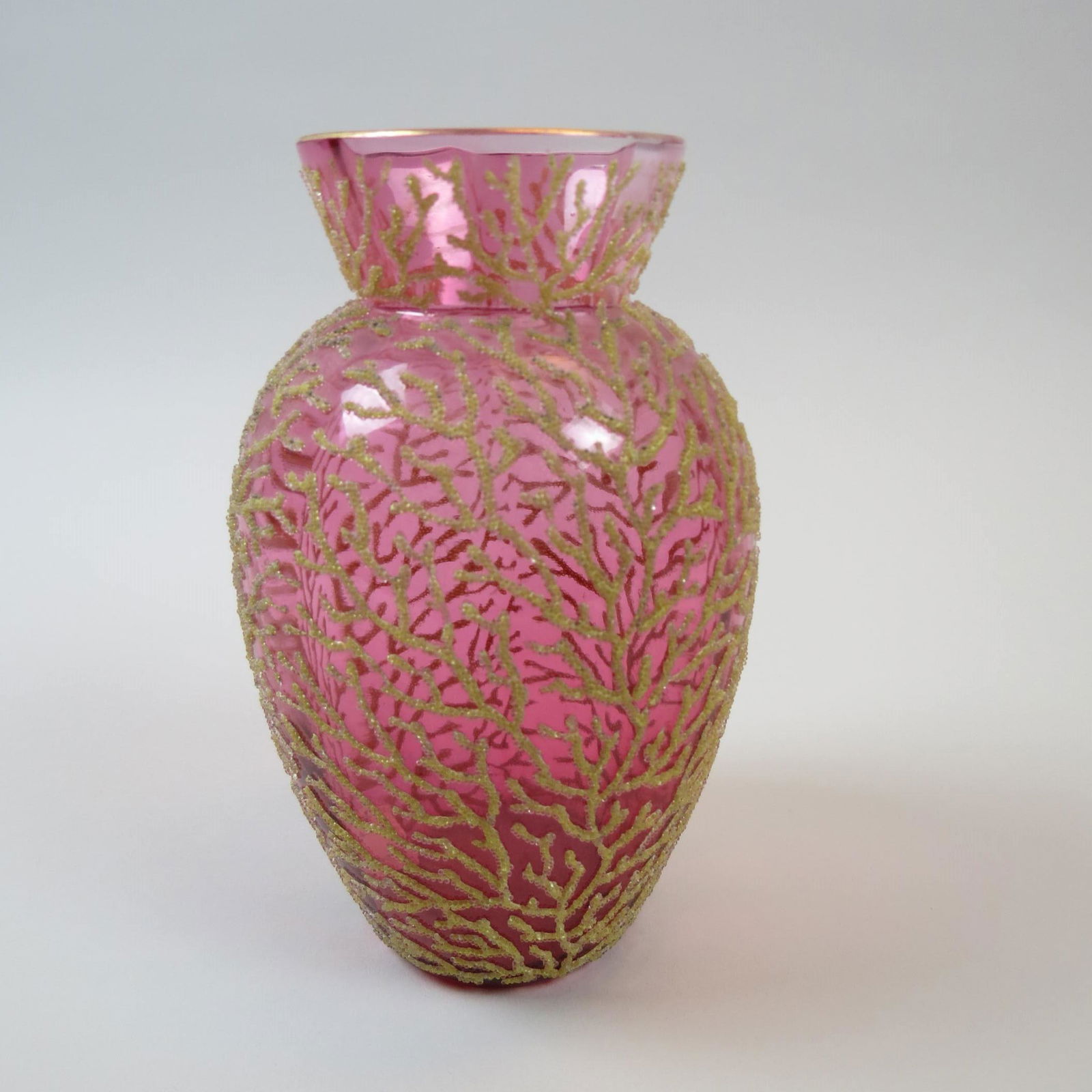 Cranberry Art Glass Coralene Decorated Vase, (1 of 7)