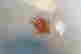 item-131505552=6