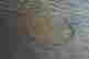 item-131505614=12