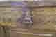 item-131505614=8
