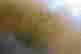 item-131505683=6