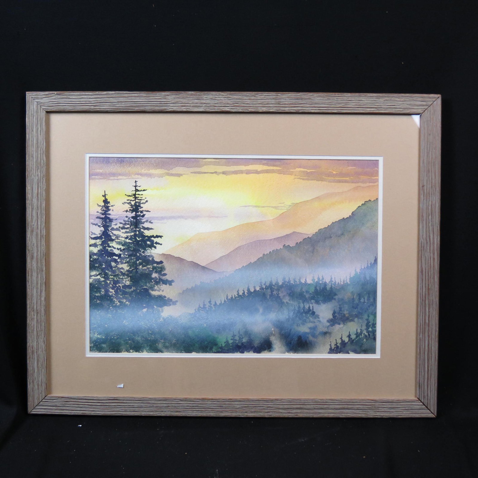 Chris Dreyer, watercolor, "Blue Ridge Parkway",: sunset landscape, image area 14" X 20" plus mat and frame, well listed artist. Sold to benefit the Blue Ridge Humane Society...Chris is also a Watercolor Artist, producing fine art for sale in galleri