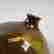 item-131505869=5