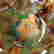 item-131505877=5