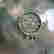 item-131505879=5