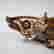 item-131505881=2
