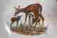 item-131505949=6