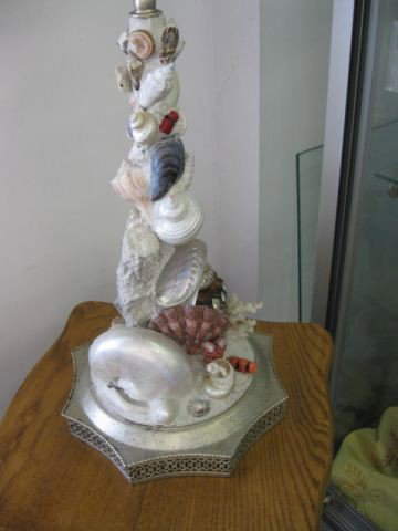Shell Table Lamp,: various shells & coral, 13" body.